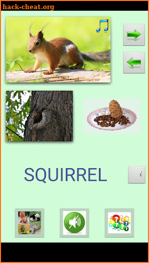 ZOOPEDIA full: Guess the animal👀 4 animal quizzes screenshot