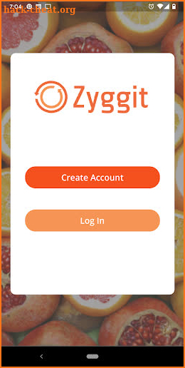 Zyggit screenshot