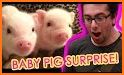 Cute Piggy Rescue related image