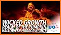 Pumpkin Bubble Fight : Halloween Night related image