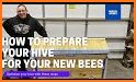 Intelligent Hives - Managing your apiary related image