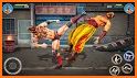 Warrior Kung Fu Fight: Offline Fighting Games related image
