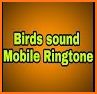 Bird Sounds & Bird Ringtones for Free 2018 related image