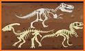 Dino Bone Discovery - Dinosaur Puzzle related image