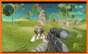 Sniper King Shooter 2019 : Animal Hunting Game related image