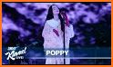 Poppy related image