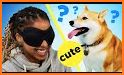 Dog Breed Quiz related image