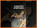 Petco: Better Together related image