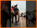 Elephant Rush related image