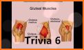 Muscle Trivia related image