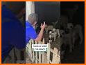 Sort Sheep Flock related image