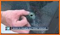 Crazy Bullet Shooting-Slide Finger to Break Stone related image