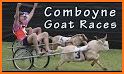 Goat Rush: Funny Race related image
