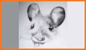 Mouse Diary related image