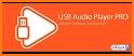USB Audio Player PRO related image