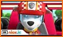 F1 Mighty Paw Pups Racing Patrol 3D related image
