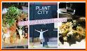 Plant City Providence related image