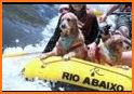 Rafting Dog related image
