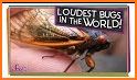 World of Bugs related image