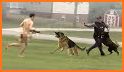 US Police Security Dog Chase related image