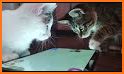 Cattywhompus related image