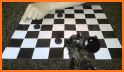Checkers Free 3D Pro related image