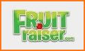 Fruit Fundraising related image