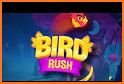 Bird Rush: Match 3 puzzle game related image