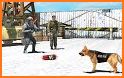 Stickman Army Dog Chase Crime Simulator related image