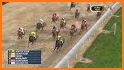 UK Horse Racing Simulator - Horse Riding Game related image
