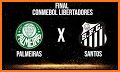 Libertadores Live related image