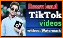 Download Video TikTok Downloader 2020 related image