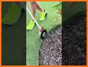 Garden Trim related image