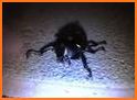 Angry Beetles.io related image