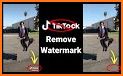 Download Video No Watermark - SaveTik related image
