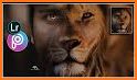 Animal Face Maker : Animal Face Photo Editor related image