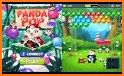 little Panda Pop Bubble Shooter related image