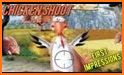 Chicken Shoot related image
