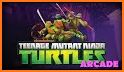 Real Ninja Turtle Street Fighting Games 2018 related image