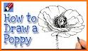 Poppy Flower Launcher Theme related image