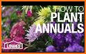 Learn Gardening flowers and plants related image