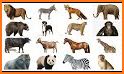 Animal Identifier related image