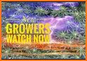 Grow Welcome related image
