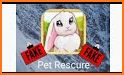 Pet Rescure - Cubes Popping related image