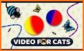 Games For Cats - Cat Alone Toy related image