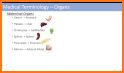 Medical Terminology Learning Quiz - Anatomy related image