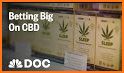 CBD News: The latest news from the CBD industry. related image