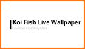 Aquarium Fish Live Wallpaper 2018: Koi Backgrounds related image
