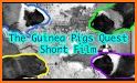 Guinea Pigs Quest related image