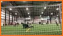 Midwest Wings Soccer Club related image